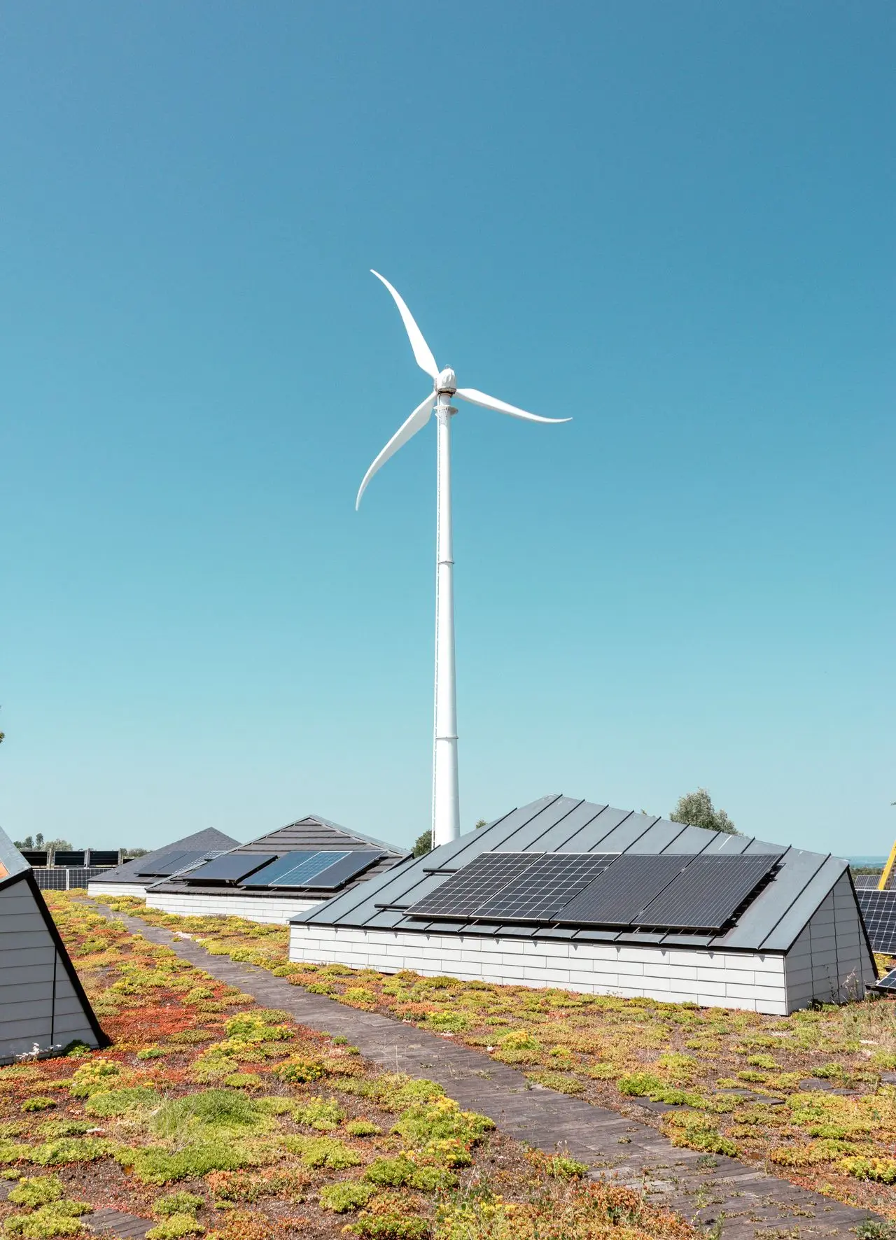 Éolienne et panneaux photovoltaïques combinés pour une production locale d’énergie renouvelable